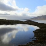 Virus intrappolati per millenni nel permafrost della Siberia: sono un pericolo reale?