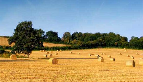 agricoltura toscana ph regione