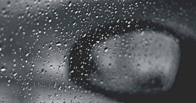 Aprire le finestre quando piove: un gesto che purifica l’aria della nostra casa
