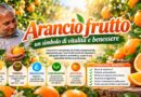 Arancio frutto: un simbolo di vitalità e benessere